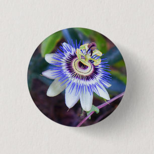 Passion Flower Pinback Button