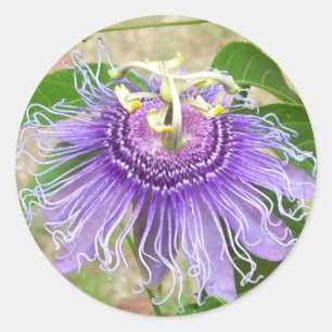 Passion Flower Stickers