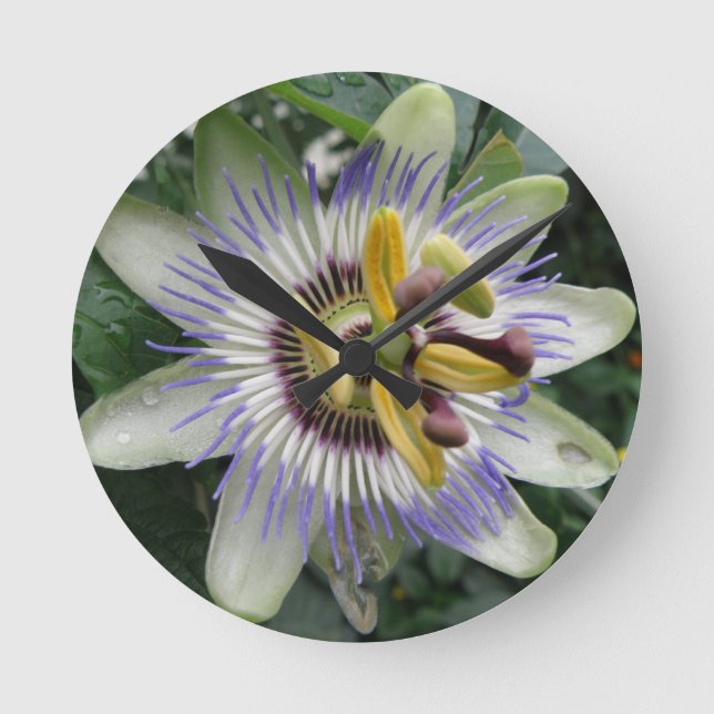 Passion Flower Wall Clock (Front)
