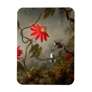 Passion Flowers with Hummingbirds Heade Magnet