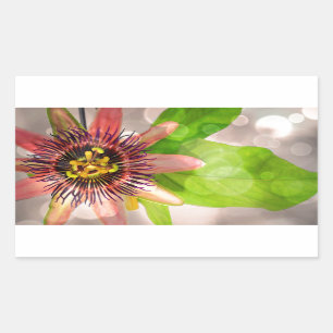 Passion Fruit Flower Sticker