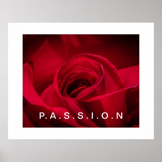 Passion Red Rose Poster (Front)