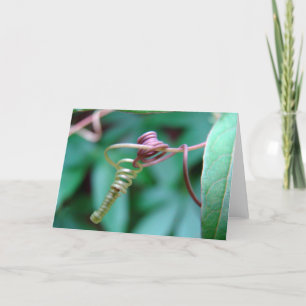 Passion Vine Card