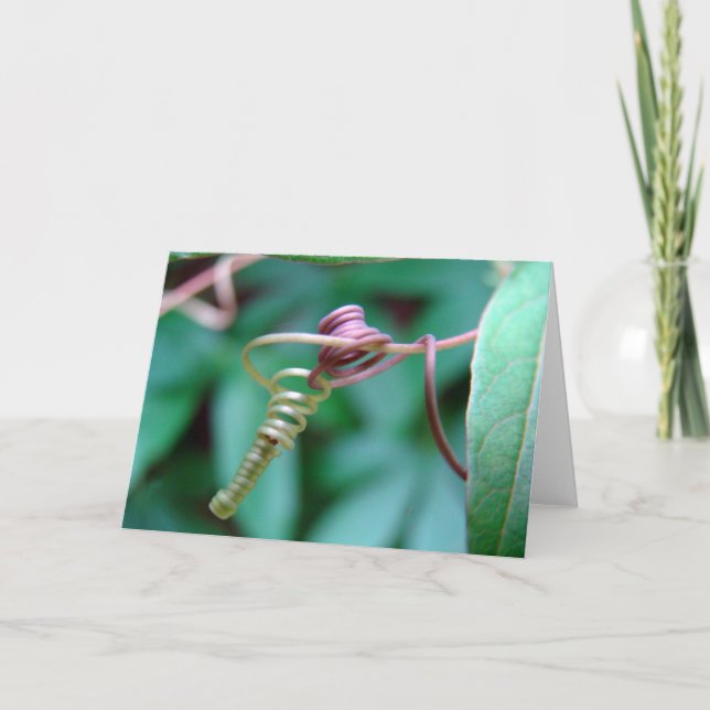 Passion Vine Card (Front)