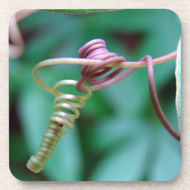 Passion Vine Cork Coasters (Front)