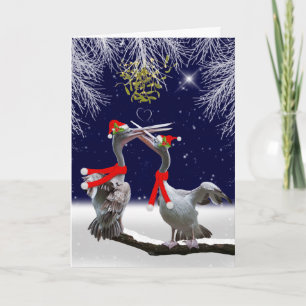Passionate Pelicans Christmas Card