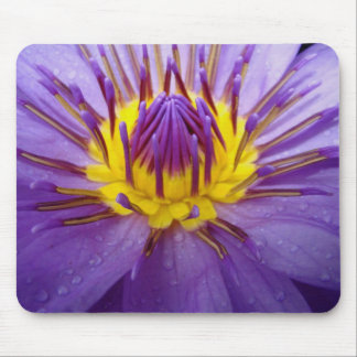 Passionate-Purple Mouse Pad