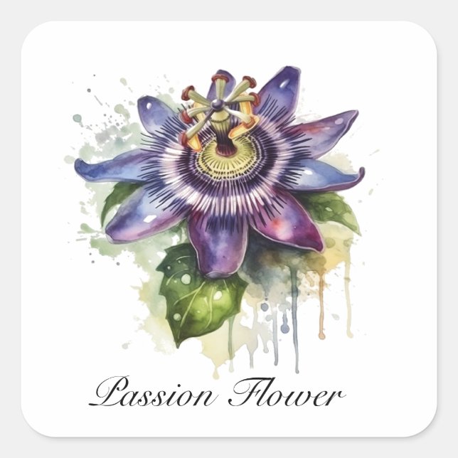 Passionate Purple Passion Flower Square Sticker (Front)