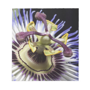 Passionflower close-up (MR) Notepad