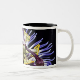 Passionflower close-up (MR) Two-Tone Coffee Mug