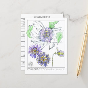 Passionflower Materia Medica Herbal Study Card