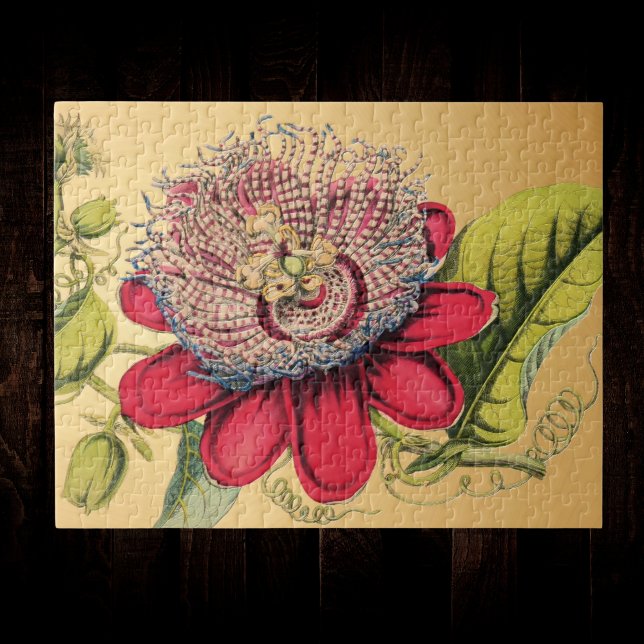 Passionflower Vintage Red Gold Illustration Jigsaw Puzzle (Creator Uploaded)