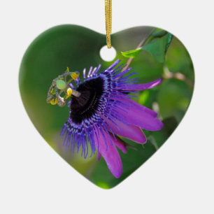 Passionsblume (Passiflora) Ceramic Ornament