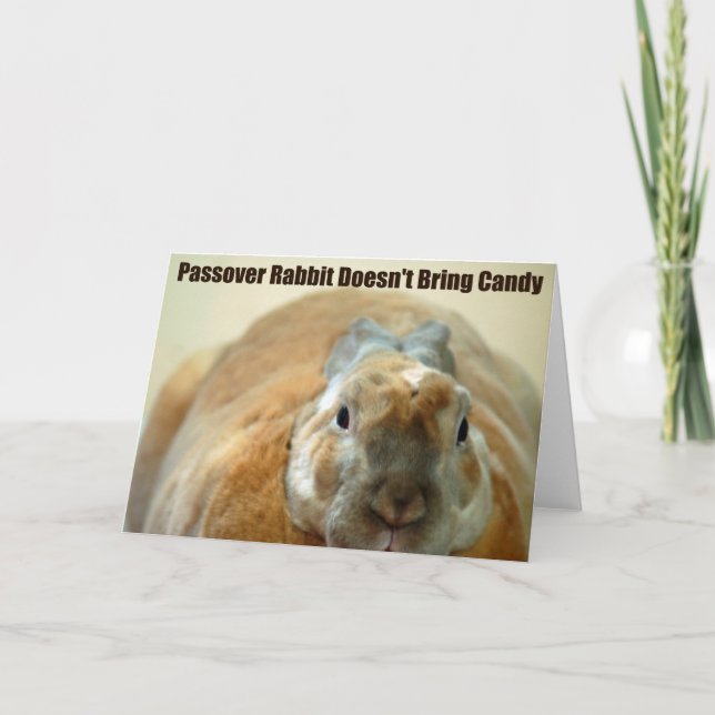 Passover Rabbit doesn't Pass Over Card (Front)