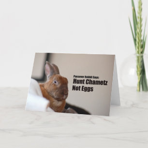 Passover Rabbit Says: Card