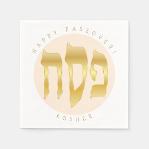 Passover Seder Kosher Pesach Symbols Napkin