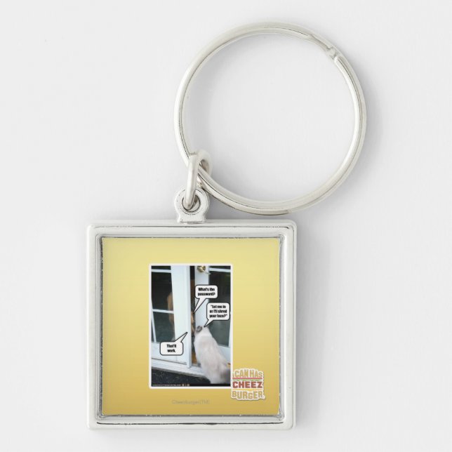 Password Please Keychain (Front)