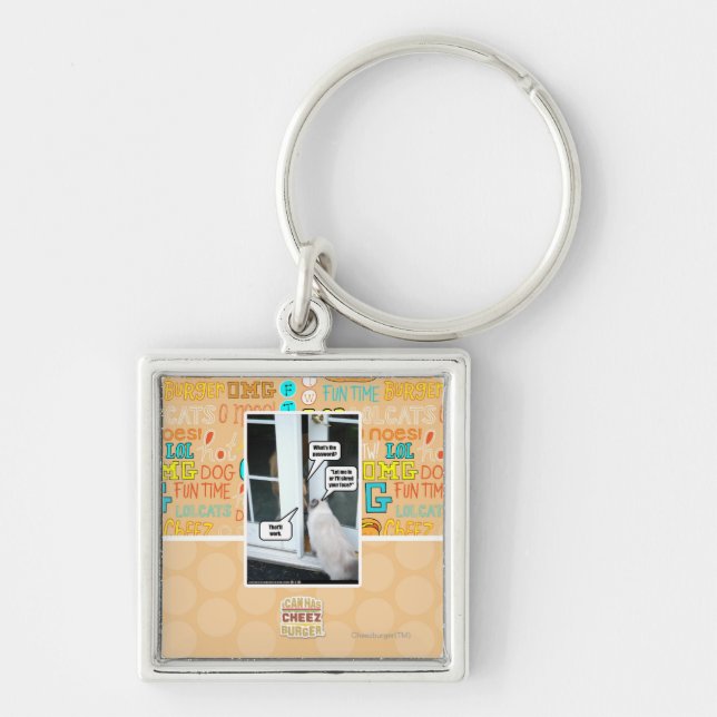 Password Please Keychain (Front)