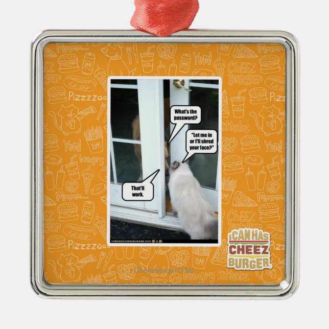 Password Please Metal Ornament (Front)