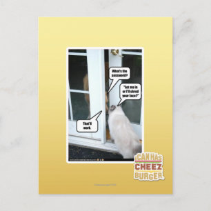 Password Please Postcard