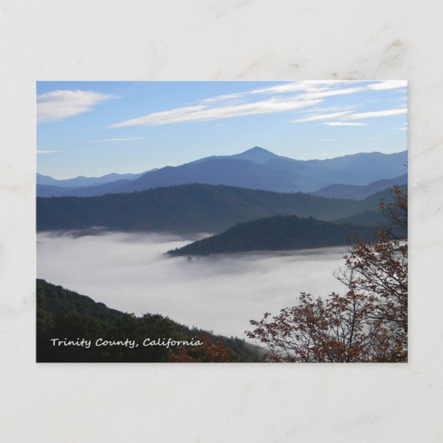 Past the colours of Fall... Postcard (Front)