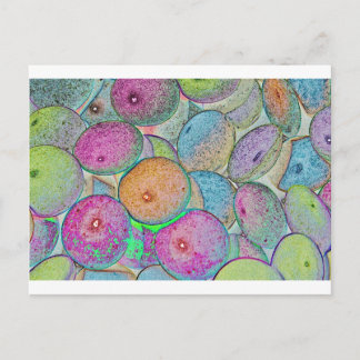 Pastal Art Postcard