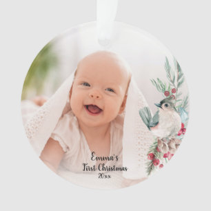 Pastel Aquarelle Rustique Winter Botanique Photo