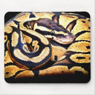 Pastel Ball Mouse Pad