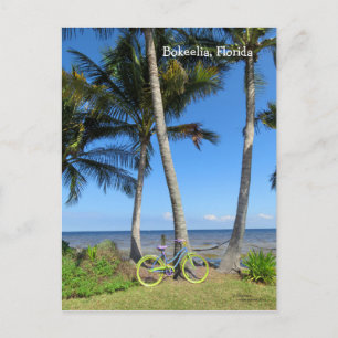 Pastel Bicycle Océan Floride Carte postale