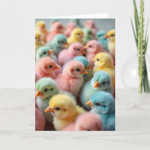 Pastel Birds Springtime Card