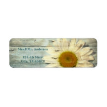 pastel blue barnwood country daisy wedding