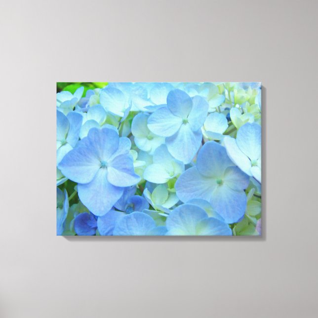 Pastel Blue Hydrangea Flowers art prints Floral (Front)