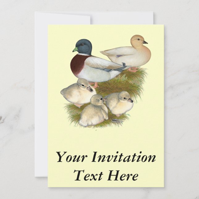Pastel Call Duck Family Invitation (Front)