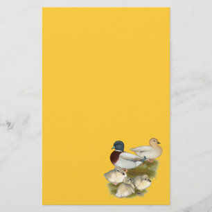 Pastel Call Duck Family Stationery