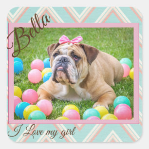 Pastel Chevron Dog Custom Photo    Square Sticker