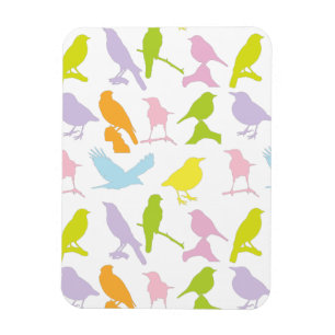 Pastel Colored Variety of Birds Pattern Magnet