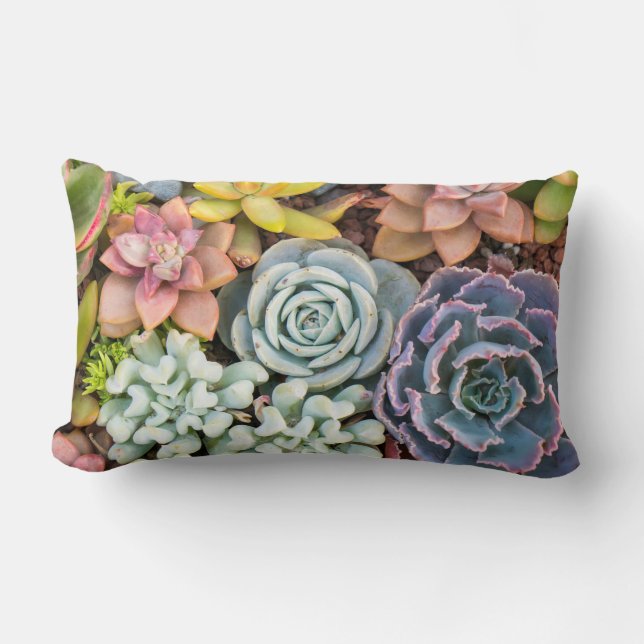 Pastel Coloured Succulent Plants Lumbar Pillow (Front)