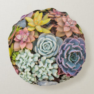 Pastel Coloured Succulent Plants Round Pillow