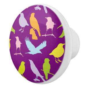 Pastel Coloured Variety of Birds Pattern Ceramic Knob
