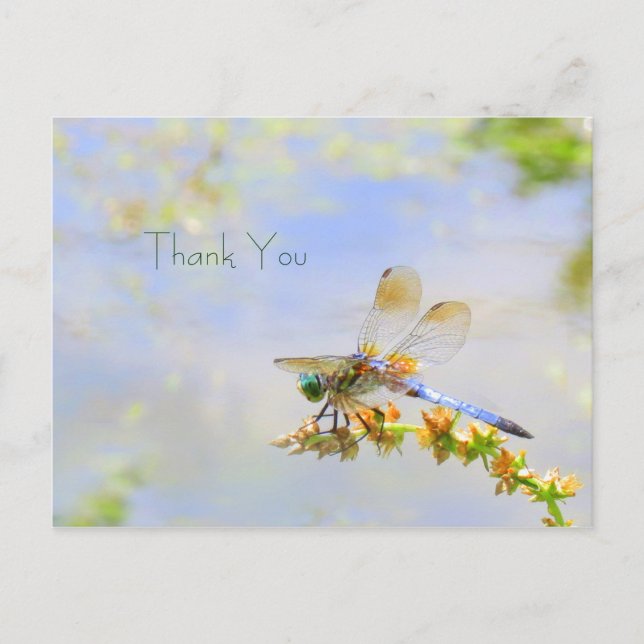 Pastel Dragonfly Thank You Postcard (Front)
