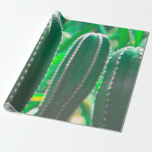 Pastel Green cactus plant leaves pastel Wrapping Paper