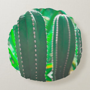Pastel Green cactus plant leaves Round Pillow