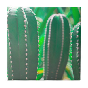 Pastel Green cactus plant leaves Tile