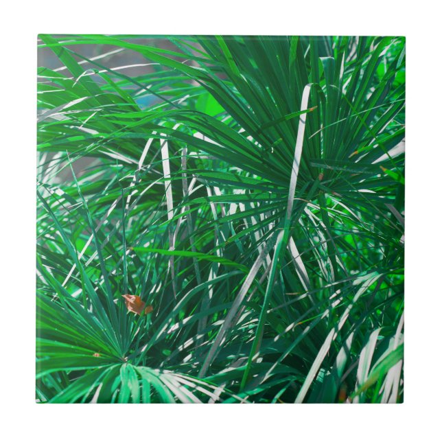Pastel Green Palm Tree plant leaves Tile (Front)