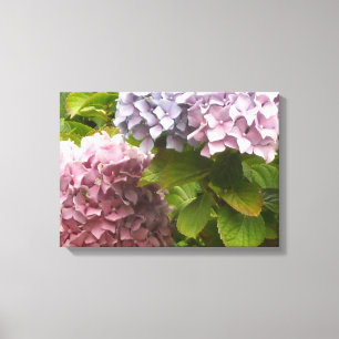 Pastel Hydrangeas Canvas Print