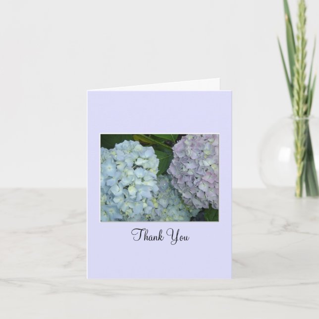 Pastel Hydrangeas Merci (Devant)