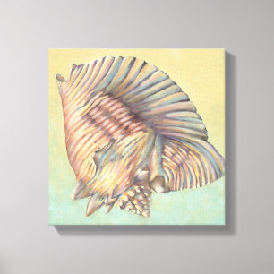 Pastel Large Conch Shell Canvas Print