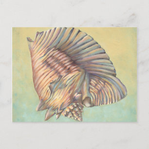 Pastel Large Conch Shell Postcard