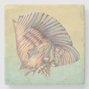 Pastel Large Conch Shell Stone Coaster