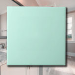Pastel Mint Blue Solid Colour | Classic | Elegant Tile<br><div class="desc">Pastel Mint Blue Solid Colour | Classic | Elegant | Trendy | Stylish | Gift</div>